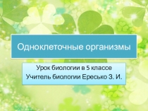 Презентация по биологии на тему Одноклеточные организмы