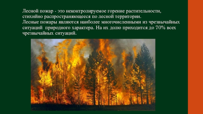 Текст берегите лес от пожара 4. Презентация берегите лес от пожара. Слайды берегите лес. Текст на тему берегите лес от пожара. Бережем лес от пожара презентация.