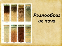 Презентация по окружающему миру на тему: Разнообразие почв (4 класс)