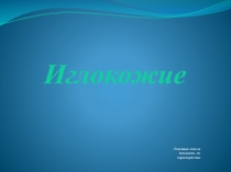 Презентация по биологии на тему Внешнее и внутреннее строение основных классов иглокожих животных