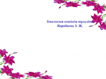Презентация по биологии Қанқаның негізгі бөлімдері