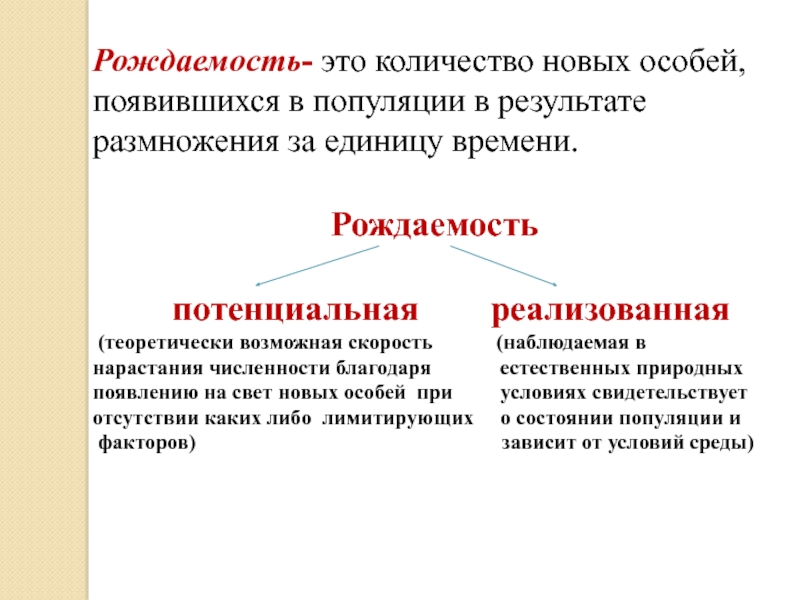 Количество особей. Рождаемость. Функциональная структура популяции. Рождаемость популяции. Структура популяций что такое рождаемость.