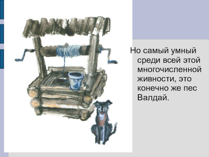 Но самый умный среди всей этой многочисленной живности, это конечно же пес Валдай.