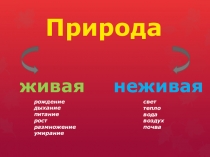 Презентация по окружающему миру на тему Растения-производители