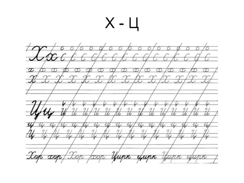 Письмо ц 1 класс. Написание буквы х. Правописание буквы х. Буква х пропись. Элементы буквы х.