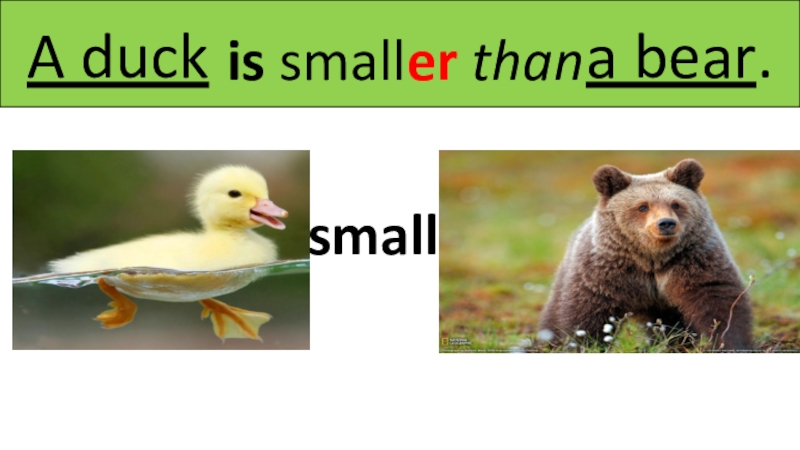 Bigger or smaller than. Smaller than. Small smaller. Small smaller the smallest. Is smaller than me.