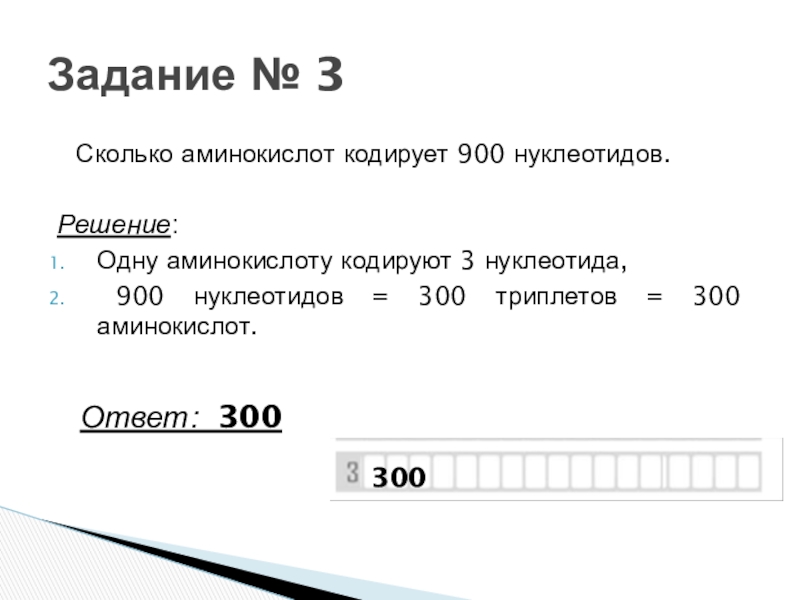 Количество аминокислот кодируемых триплетами нуклеотидов