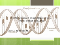 Презентация по биологии на тему Нуклеиновые кислоты