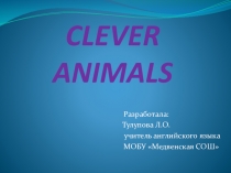 Презентация к уроку английского языка Clever animals