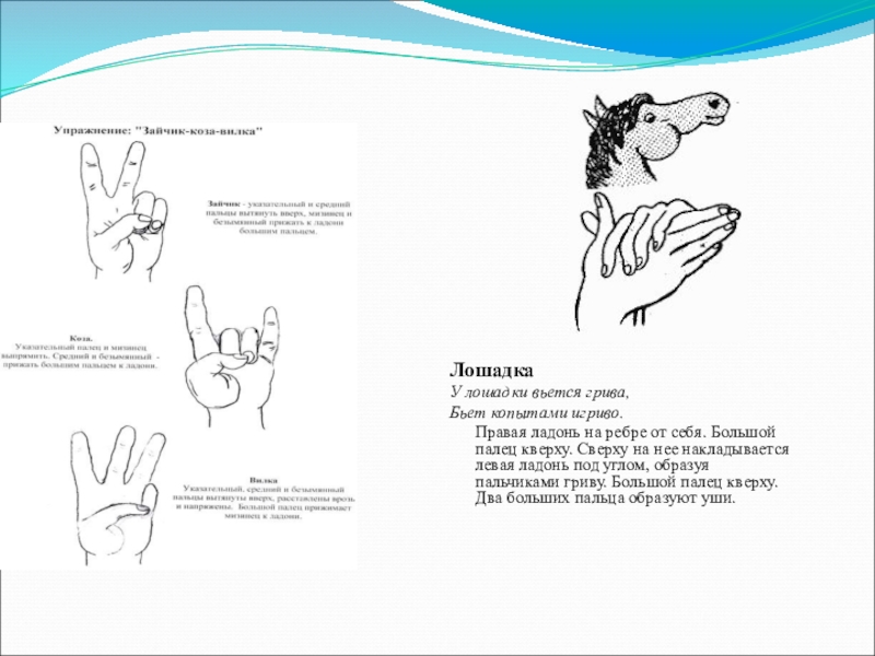 Пальчиковая гимнастика животные. Пальчиковая гимнастика для детей собака. Пальчиковая гимнастика собачка для детей 4-5 лет. Пальчиковая гимнастика лошадка для дошкольников. Пальчиковая гимнастика для малышей собачка щенок.