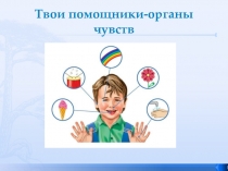 Презентация для 1 класса по теме Органы чувств