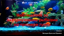 Презентация к исследовательской работе ученика 2 класса Беседина Ярослава по теме Гуппи