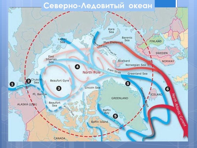 Карта течений северный ледовитый океан