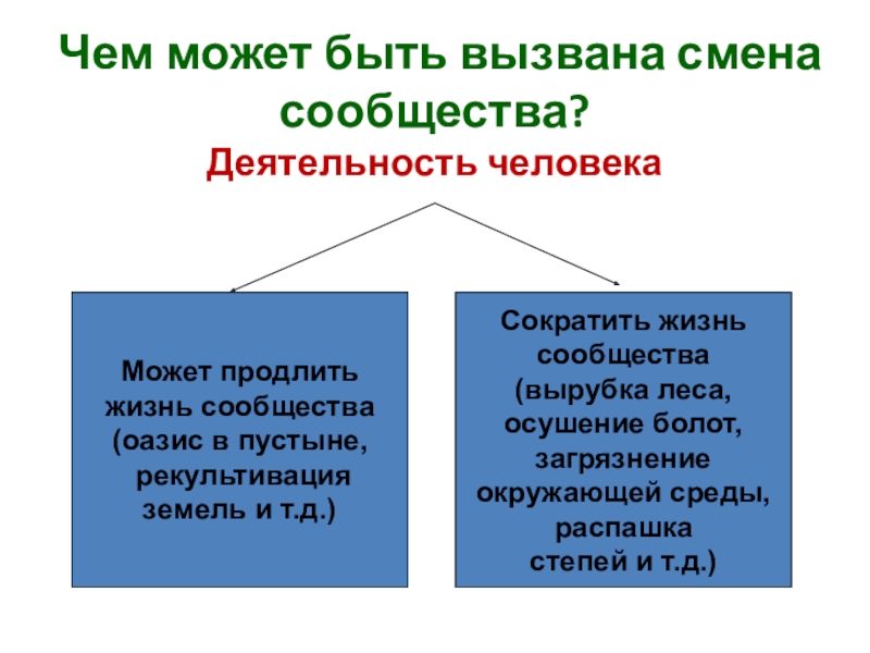 Сообщества биология 9 класс презентация