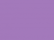 Презентация к уроку Генная и клеточная инженерия