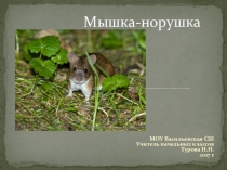 Презентация к внеурочному занятию на тему Мышка - норушка