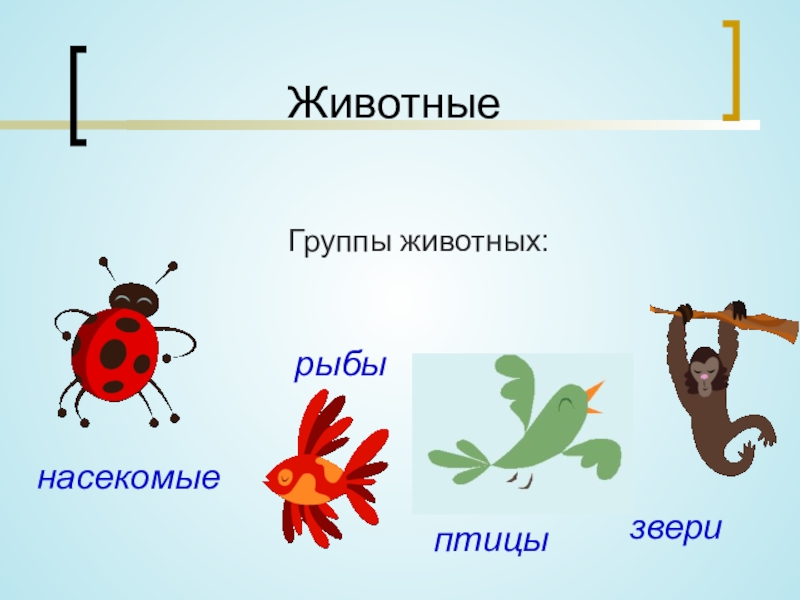 Презентация на тему группы животных 2 класс