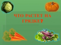Презентация Что растет на грядке средняя группа