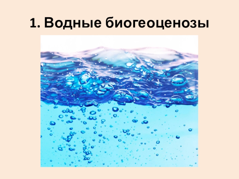 Презентация многообразие биогеоценозов 9 класс пономарева