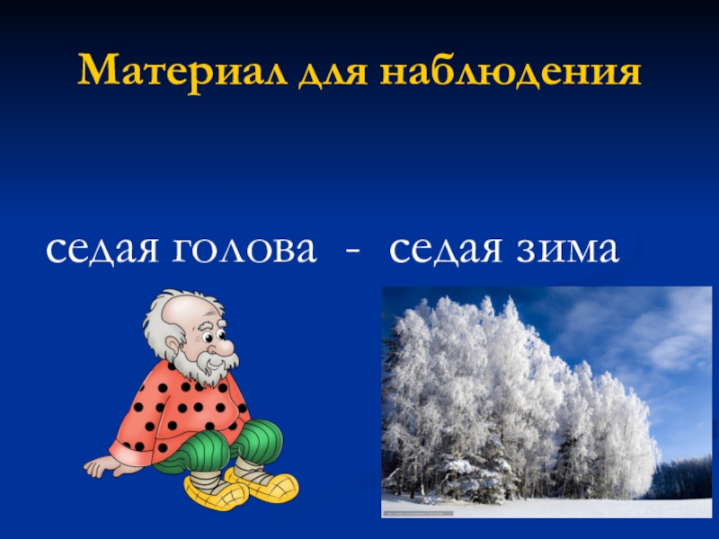 Слово седой. Седая голова Седая зима. Седая зима значение слова. Седая зима предложение. Седая зима это переносное значение.