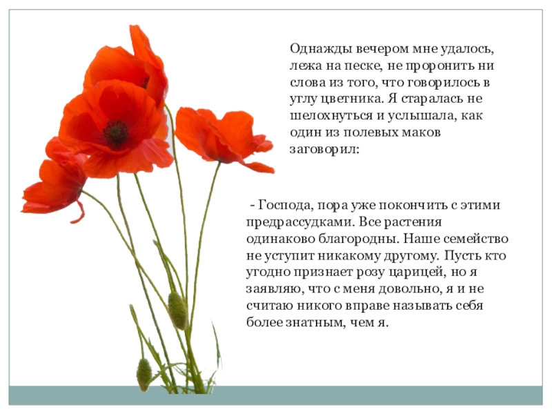 Цветок равен. Пахнет ли роза если ее никто не нюхает. Пахнет ли роза если ее никто не нюхает психология. Беркли пахнет ли роза если ее не нюхают.