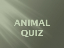 Презентация по английскому языку на тему  Викторина о животных( Animal Quiz) для 7 класса