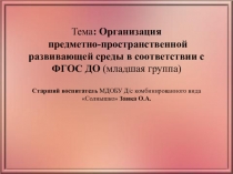 Организация развивающей предметно-пространственной среды в соответствии с ФГОС ДО (младшая группа)