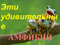 Презентация по биологии Эти удивительные амфибии
