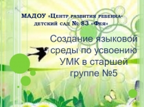 Создание языковой среды по усвоению и закреплению УМК.