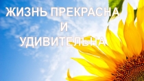 Презентация к линейки для начальной школы Жизнь прекрасна