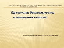 Презентация Проектная деятельность в начальных классах