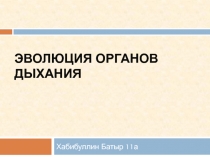 Презентация по биологии на тему  Эволюция органов дыхания