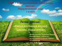 Какие растения весной цвести торопятся