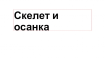 Презентация по окружающему миру по теме Скелет и осанка