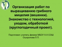 Организация работ по выращиванию грибного мицелия (вешенки). Знакомство с технологией, уходом, обработкой (круглогодичный проект).