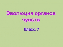 Презентация для учащихся 7 класса по теме: Эволюция органов чувств
