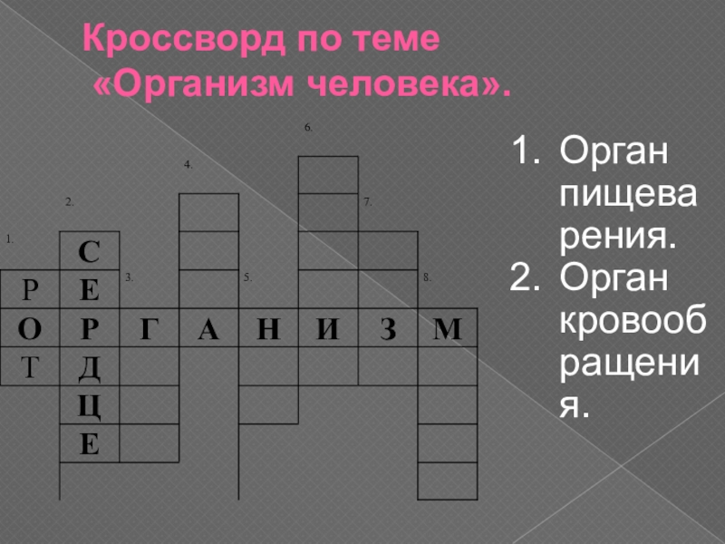 Кроссворд на тему система. Кроссворд по теме пищеварительная система. Кроссворд на тему органы человека. Кроссворд по теме организм человека. Кроссворд по теме пищеварение.