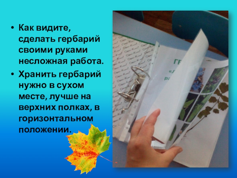 Сделай видимый. Презентация гербарий. Как сделать гербарий. Что такое гербарий определение. Презентация сбор гербария.