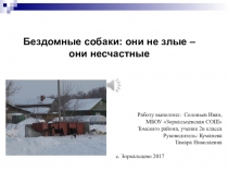 Презентация Бездомные собаки: они не злые - они несчастные