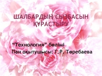 Шалбардың сызбасын құрастыру тақырыбына презентация