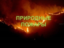 Презентация урока по ОБЖ на тему Лесные пожары (8 класс)