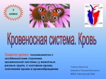 Презентация по биологии 7 класс Кровеносная система