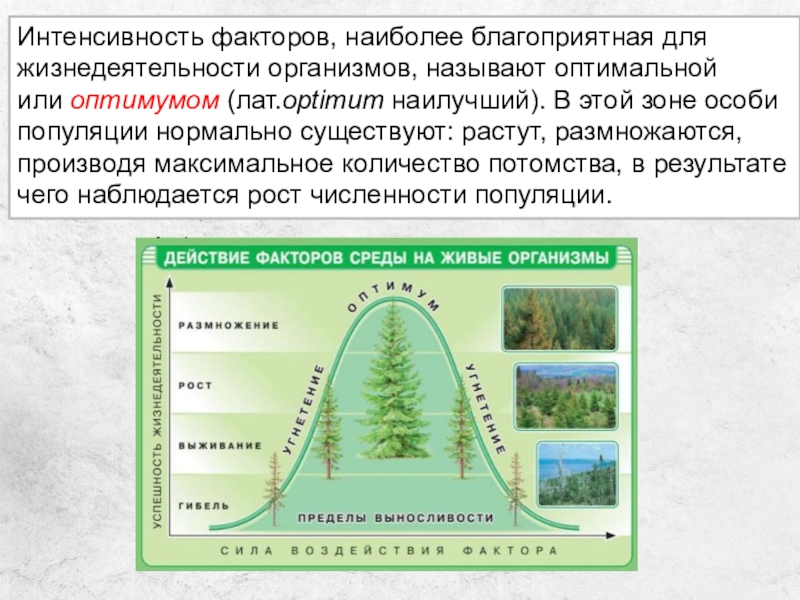 Рассмотрите рисунки назовите причины угнетения роста и гибели растений выразите