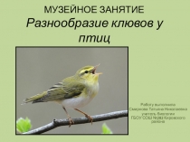 Презентация по биологии Разнообразие клювов у птиц (7 класс)