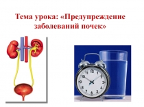 Презентация к открытому уроку биологии Предупреждение заболевания почек