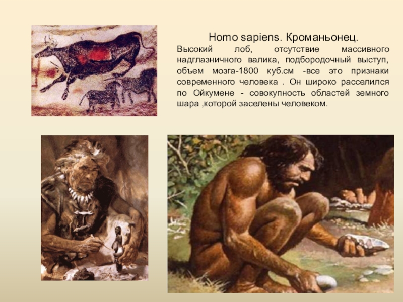 Кроманьонец объем. Кроманьонец ( homo sapiens). Кроманьонец неандерталец сапиенс сапиенс. Кроманьонец прямохождение. Человек разумный кроманьонец образ жизни.