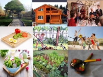 Презентация по обществознанию на тему Человек и его деятельность