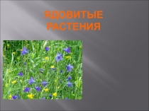 Проектная работа:Ядовитые растения Нижегородской области.