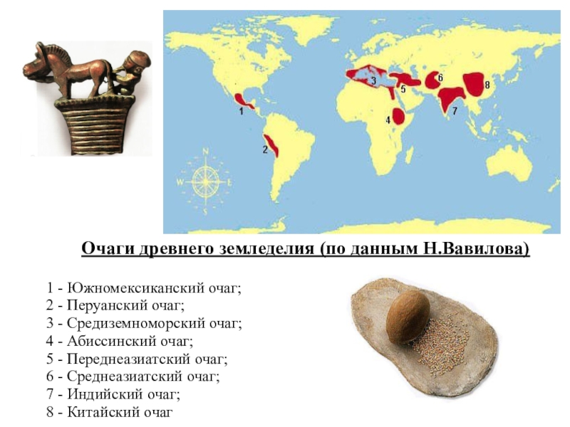 Центры древнейших. Очаги возникновения земледелия и скотоводства. Очаги древнего земледелия. Очаги возникновения земледелия. Древнейшие очаги земледелия.