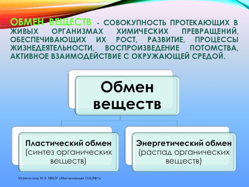 Обмен веществ это совокупность